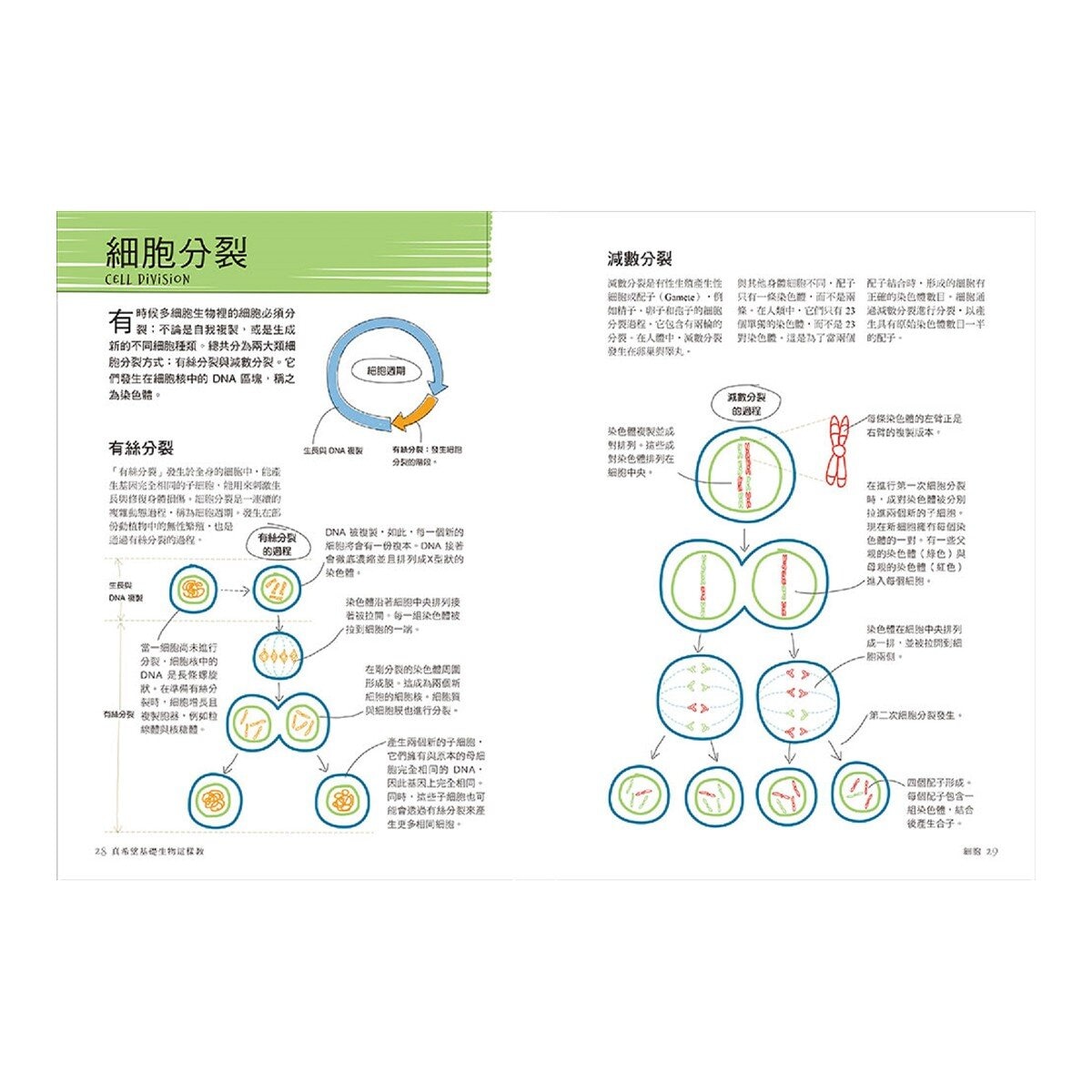 真希望基礎生物這樣教 + 真希望基礎人體這樣教 暢銷修訂版 (共二冊)