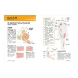 真希望基礎生物這樣教 + 真希望基礎人體這樣教 暢銷修訂版 (共二冊)