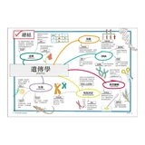 真希望基礎生物這樣教 + 真希望基礎人體這樣教 暢銷修訂版 (共二冊)