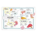 真希望基礎生物這樣教 + 真希望基礎人體這樣教 暢銷修訂版 (共二冊)