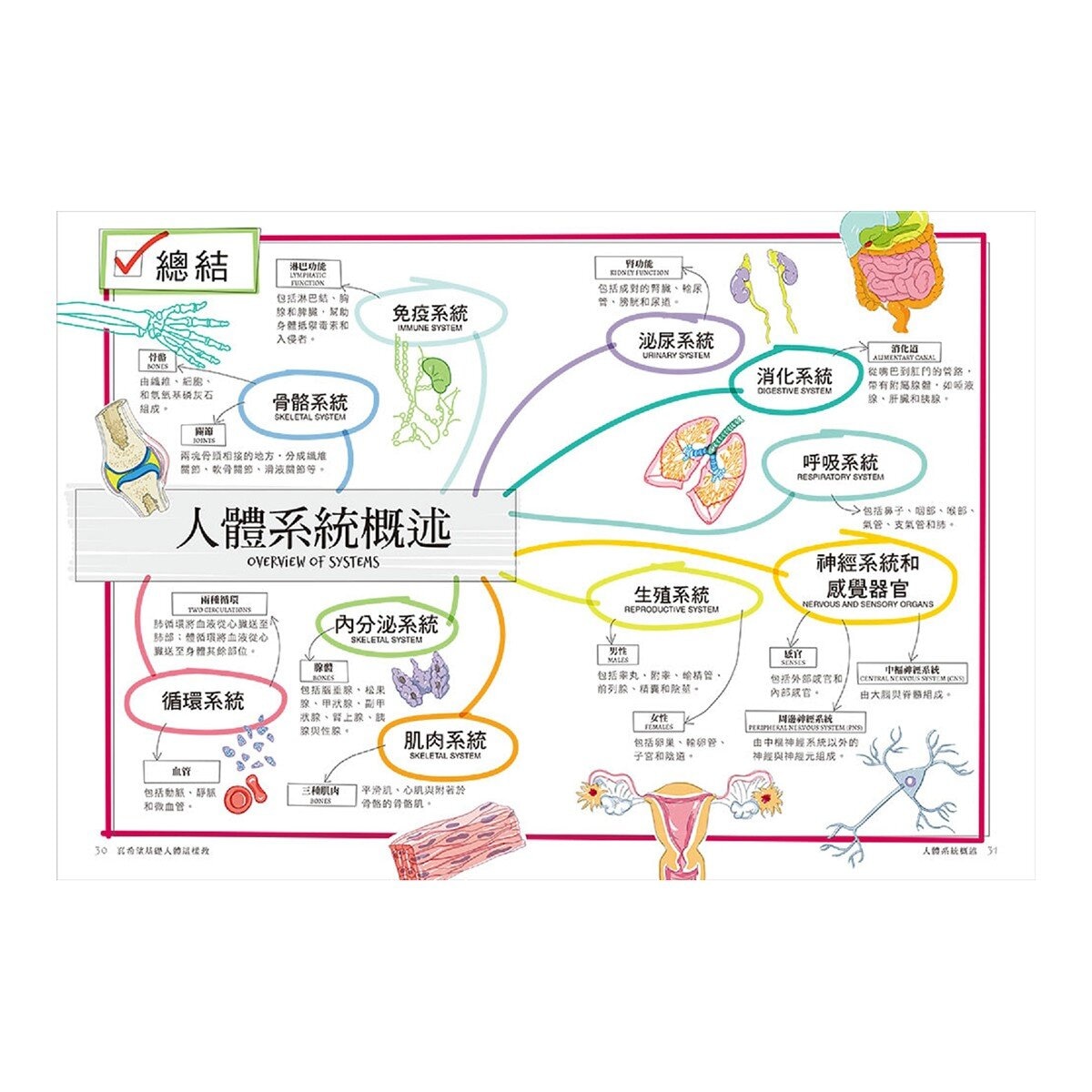 真希望基礎生物這樣教 + 真希望基礎人體這樣教 暢銷修訂版 (共二冊)