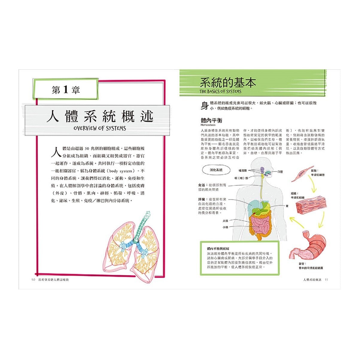 真希望基礎生物這樣教 + 真希望基礎人體這樣教 暢銷修訂版 (共二冊)